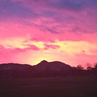 Cure Rare Disease Employee Keith Sutton's profile photo