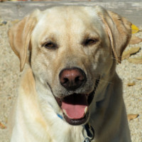 Management Architects, Inc. Employee Doug Griffith's profile photo