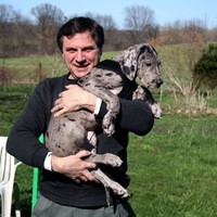 JN White Employee John Regatuso's profile photo