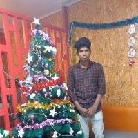 Livelihood Systems Employee Sakthinarayanan K's profile photo