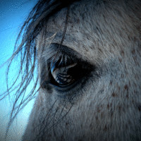 Joliet Pattern Inc Employee Andrew Wood's profile photo