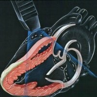 Rccs Rcs Email & Phone Number