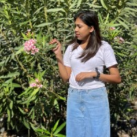 Alpha 55 Employee Anitha Devasia's profile photo