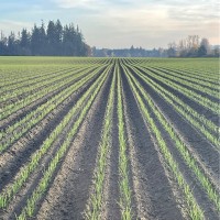 Valley Agronomics, LLC Employee Jake Shelburne's profile photo