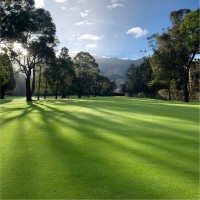 Club de Golf Chapultepec Employee Eamonn McCarthy's profile photo