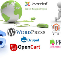 Web Designer Employee Unziplogic System's profile photo