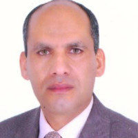 Reda Abdelazim Email