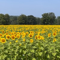 Oxford Road Employee Neal Lucey's profile photo