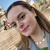 Mariana Arce Aguilar Email