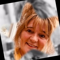 Ellen de Koning-Krook Email