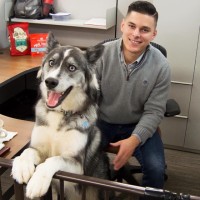 Dylan Morang Email & Phone Number