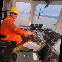 Locar Guindastes e Transportes Intermodais Employee Marcelo Teles's profile photo