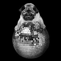 Ich Employee Georg Hohenberg's profile photo