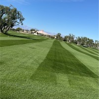 The Annenberg Foundation Trust at Sunnylands Employee Mike Garcia's profile photo