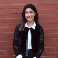 Beezwax Datatools, Inc. Employee Dima Rahman's profile photo