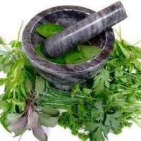 Mandarin Counseling & Wellness Center Employee Cindy Whitley's profile photo