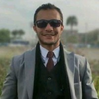 Mohamed Rashwan Email