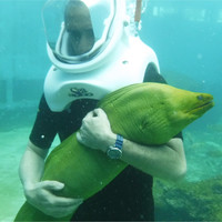My self ;) Employee Carlos Valletta's profile photo