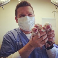 Willow Creek Pet Center Employee Aaron Barney's profile photo