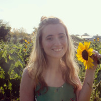 Innovative Publishing Employee Jessica Sears's profile photo