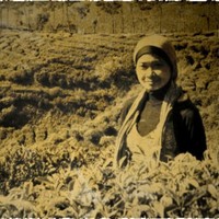 InnoArk Employee Reviana Hastuti's profile photo