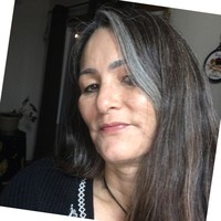 Teresa Proehl Email & Phone Number