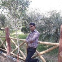 Proton Biologicals India Pvt Ltd Employee Jitendra Tawer's profile photo