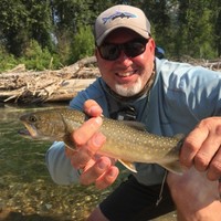 W. Brown & Associates Insurance Services Employee Brad Snow's profile photo