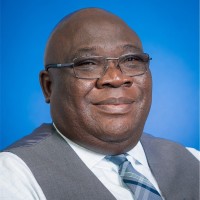 Nelson Dibie Email & Phone Number