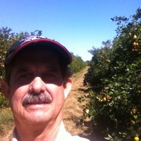 Poinsettia Groves Employee Jeb Hudson's profile photo