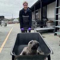 The Marine Mammal Center Employee Lauren Hughey's profile photo