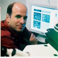 Dan Kaufman Email & Phone Number