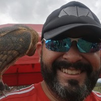 Reynaldo Castillo Email & Phone Number