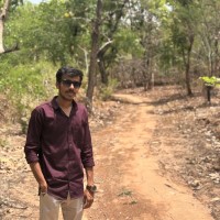 Sapphire Infocom Pvt Ltd Employee Harsh Sharma's profile photo