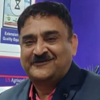 Seedworks International Pvt. Ltd. Employee Raja Vadlamani's profile photo