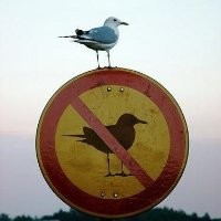 Dailey Employee John Reinking's profile photo