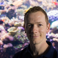 Sebastian Prajsnar Email