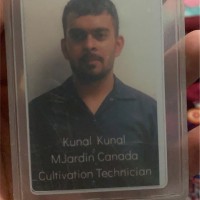 WILL Cannabis Group Employee Kunal Kunal's profile photo