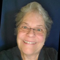 Newington Historical Society and Trust for the Kellogg-Eddy House and Kelsey Hou Employee Sue Patten's profile photo