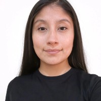 Electrodata Group Employee Angelica Rocío Silva Jesús's profile photo