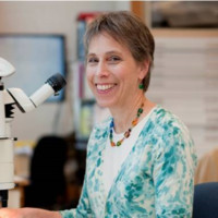 The Walters Art Museum Employee Abigail Quandt's profile photo