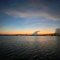 Triangle Sign Services Employee Bridgitte Marchant's profile photo