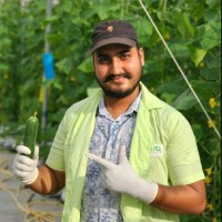 Brio Hydroponics Employee Vikash Singh's profile photo