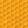 Graystone Ale House Employee the Hive's profile photo