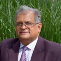 The Beverage Company Employee Bakul Odhav's profile photo
