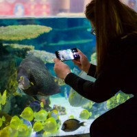 The Deep Employee Zoe Montgomerie's profile photo