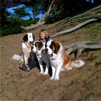 California Earthquake Authority Employee Lydia Willett's profile photo