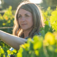 The Wine Group Employee Andrea Brambila's profile photo