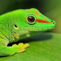 Immobiliare.it Employee Matteo Contri's profile photo