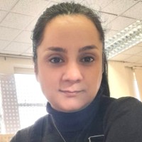Solid Structures Employee Elham Rafiei's profile photo